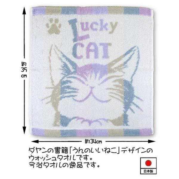 わちふぃーるどダヤン・縞立てＷ／Ｔ　うんのいいねこ・青系