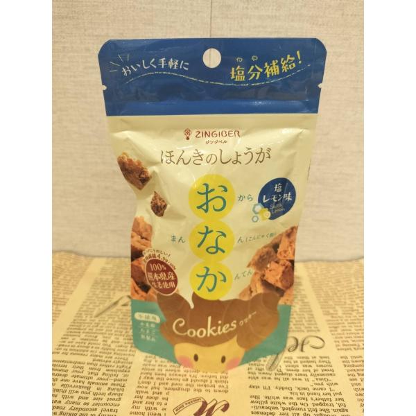 ジンジベル　ほんきのしょうがおなかクッキー　塩レモン味