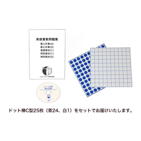 ピグマリオン ポイント学習 1〜1万の数と計算