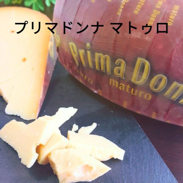 大きいサイズがお買得 【 プリマドンナ マトゥロ 290g〜300g 】ナチュラルチーズ 熟成ゴーダ 長期 熟成 好評 ヴァンデルステール オランダ