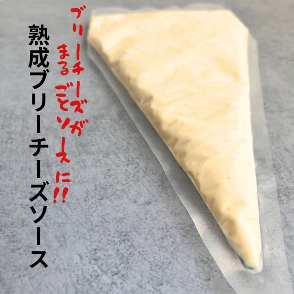 熟成 ブリー チーズ ソース 1袋 500g 大容量 業務用 業務向き サイズ 白かび チーズソース スプレッド チーズフード ディップ チーズ料理 パスタ ケーキ