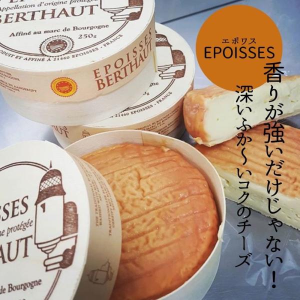 エポワス 250g ナチュラルチーズ ウォッシュチーズ フランス ブルゴーニュトロトロ チーズ マール酒 ねっとり 独特 強い 強烈なチーズ  個性的