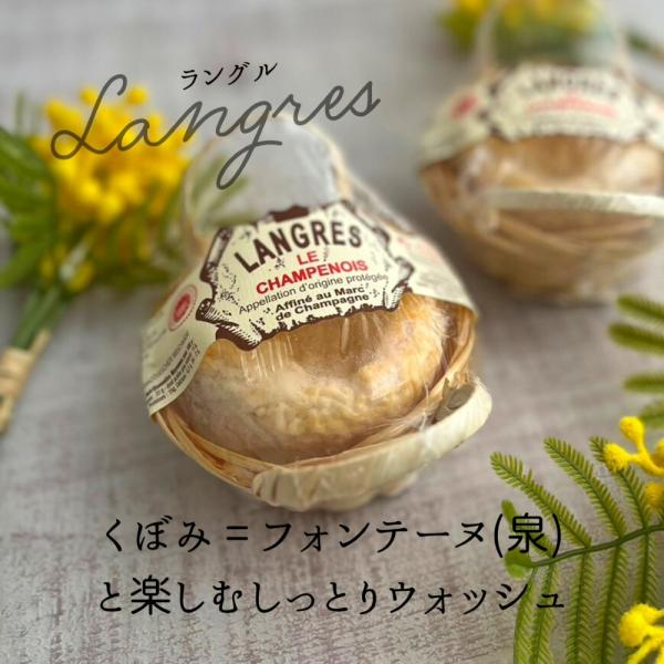 ラングル １個 180ｇナチュラルチーズ ウォッシュチーズ フランス シャンパーニュ くぼみ フォンテーヌ 泉