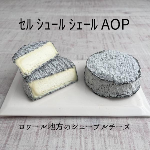 【 セル シュール シェール AOP 1個 (約150g) 】 円形 熟成 シェーブル ソフト チーズ やぎ 山羊 ヤギ やぎ 山羊乳 なめらか ねっとり 本格派 酸味 手のひら