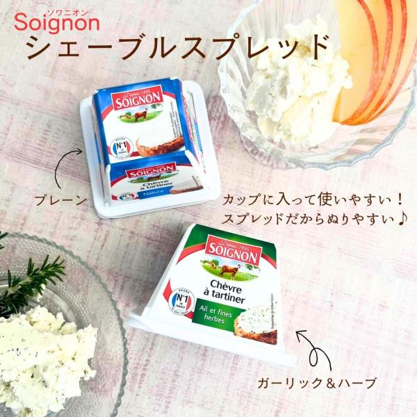 カップに入ってて使いやすい！スプレッドタイプの山羊乳チーズまるでヨーグルトのような味わいのフレッシュシェーブル。フランスのソワニオン社のカップタイプが登場！ソワニオン社は、1895年に誕生したフランス第２の酪農協、Eurial（ユリアール）...