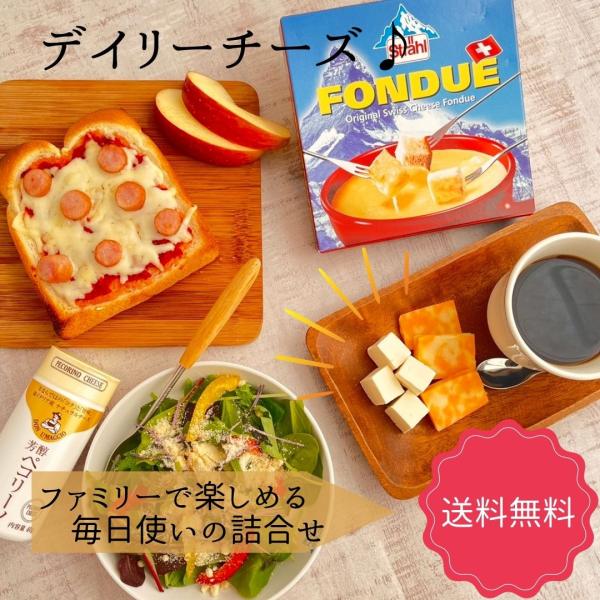 デイリーチーズ 詰合せ 3〜4名目安 プレゼント 贈り物 ギフト お料理好き 毎日食べたい ピザ ホーム パーティー メニュー  記念日 バレンタイン ホワイトデー