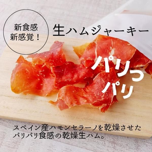 常温OK 生ハム ジャーキー 30g パリパリ おつまみ スナック 新食感 珍味