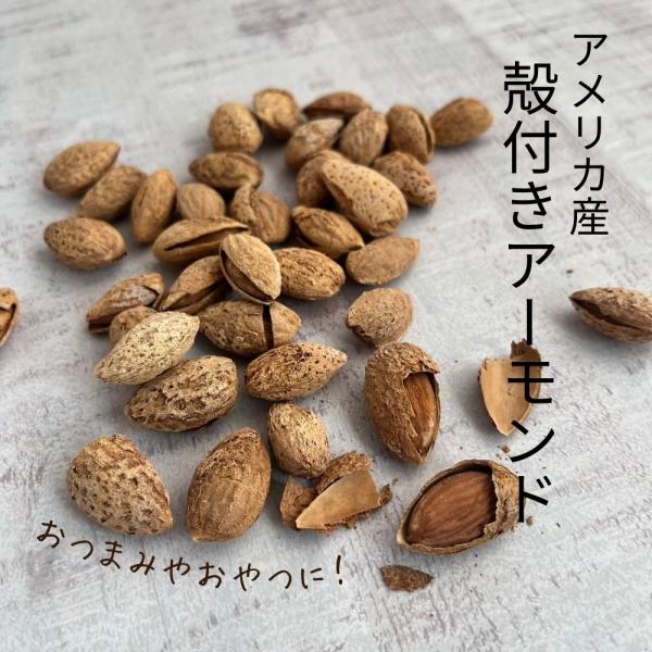 アーモンドは、食物繊維やカリウム、ビタミンなどの栄養価が高く、バランスのよい食材としてよく知られています。殻付きアーモンドの魅力は、殻が付いた状態のアーモンドに食塩水を吹き付けてローストしますので、ナッツへの熱の伝わりが優しく、苦みが穏やか...