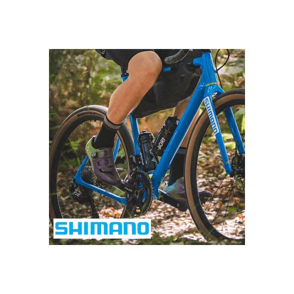 シマノ（SHIMANO） SG-5R30 内装5S シルバー 36H 軸長： 210mm OLD
