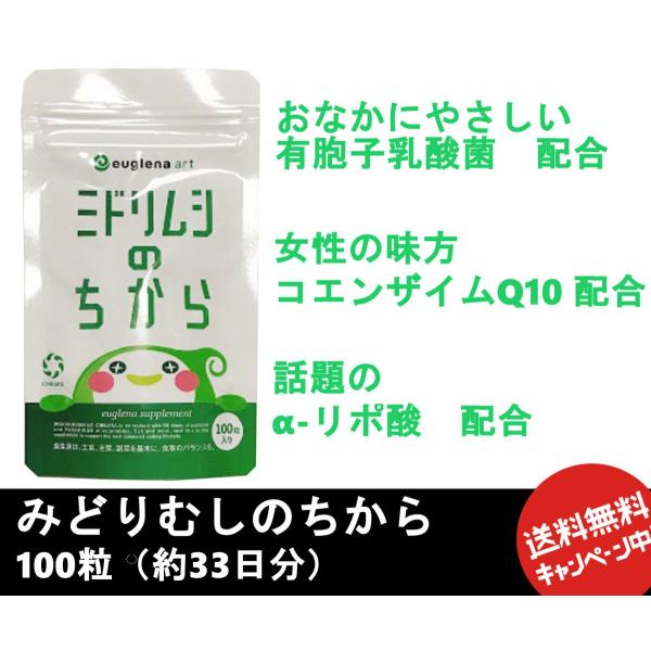 ミドリムシのちから★１００カプセル入り×３箱★送料込み ユーグレナ ミドリムシのちから 100粒 サプリメント カプセルタイプ