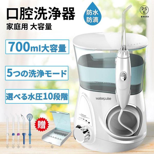 口腔洗浄機 歯垢除去 オーラルケア 正規品 2年保証 ウォーターピック