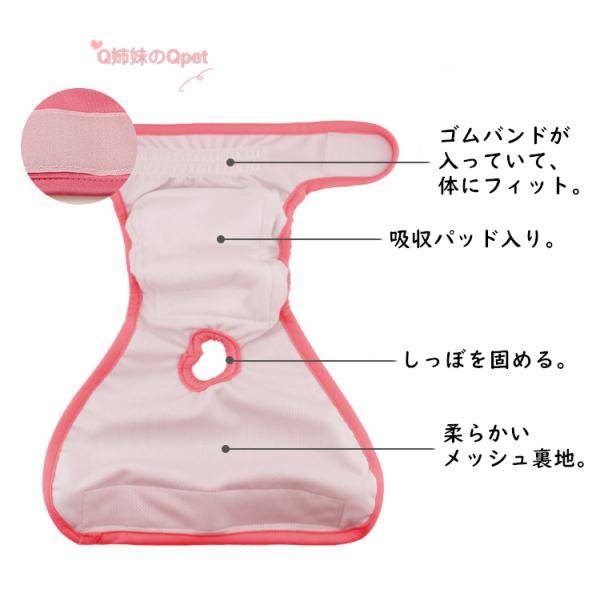 メール便送料無料 犬 マナーパンツ ペット用 サニタリーパンツ 犬 メス 生理用パンツ 介護 おむつカバー ケアパンツ 女の子 発情期用 Xs S 05xss Buyee Buyee Japanese Proxy Service Buy From Japan Bot Online