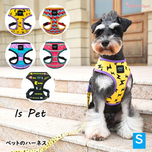 qsimainoqpet_ip05s qsimainoqpet_ip05s