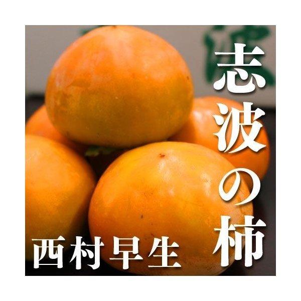 (朝倉市特産品) 福岡県産志波柿 西村早生 Sサイズ 約14個 送料無料 (ブランド柿) (柿)かき ギフト 産地直送 硬め かため 美味しい 人気商品 フルーツ カキ