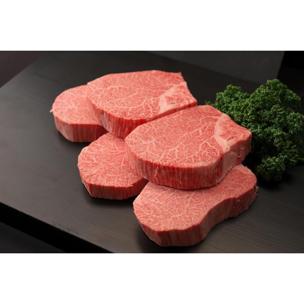 yz ꋍqXe[L200×5 Mtg Y