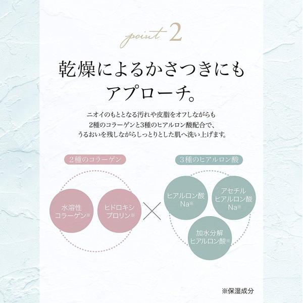 デリケスキンクリアウォッシュデリケートゾーン用 弱酸性 Www Unipymes Com