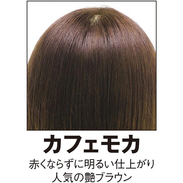グリングラン 緑宝ヘアカラーパックsn カフェモカ 0ｇ ミニ 60ｇ セット 専用手袋付き Aqua Pur Ro