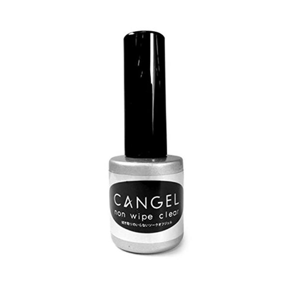 プリジェル ジェルネイル ノンワイプクリア キャンジェル 8g Supersport Tn