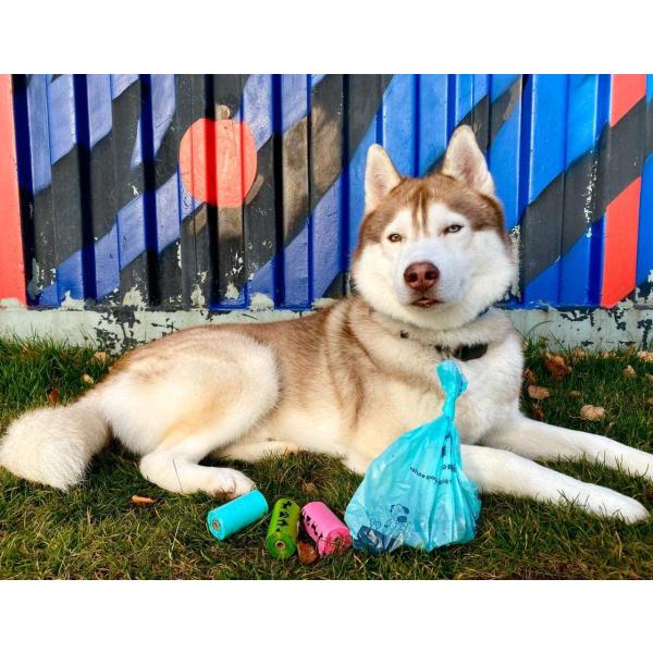 ペット エヌ ペット Pet N Pet ペット 犬 うんち袋 うんち処理袋 トイレ袋 散歩 3color 48ロール 7枚入り Morenotafurt Com