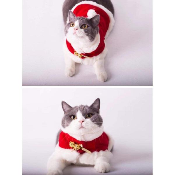 Tona犬服 猫服 コスチューム クリスマス マント サンタクロース服 暖かい 防寒 花付き鹿の角 セット パーティー 衣装 可愛い Www Jupiterdegree In