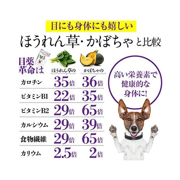 食べる目薬革命 30g 無添加 サプリ 犬 猫の白内障 涙やけ 視力に無添加国産のサプリメント 5starinspections Com