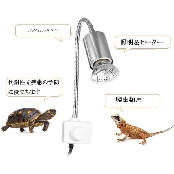 爬虫類ライト Rakuby 亀ライト 1 1セット 爬虫類 両生類用ライト 2つランプ付き 25w 照明 長時間 バスキングライト 360 Apaproduction Fr