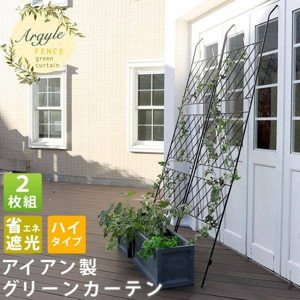 アイアン製グリーンカーテン　アーガイル 2枚組 IFGC011-2P-BLK 住まいスタイル