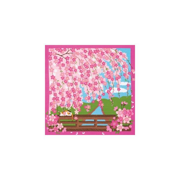 OєL݂̂ߓL ȏC~ (50cm) ݂̂Ԍ(4)