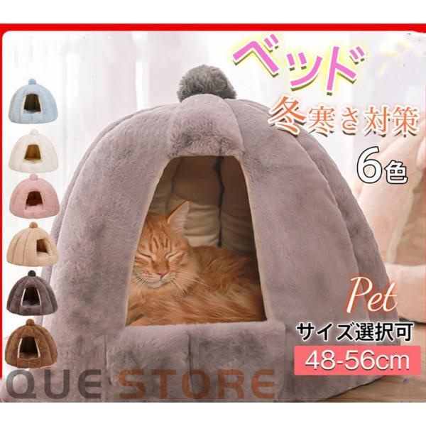 que-store_q513