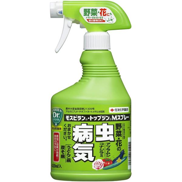 ZFw| EEۍ XsEgbvWMXv[ 420l