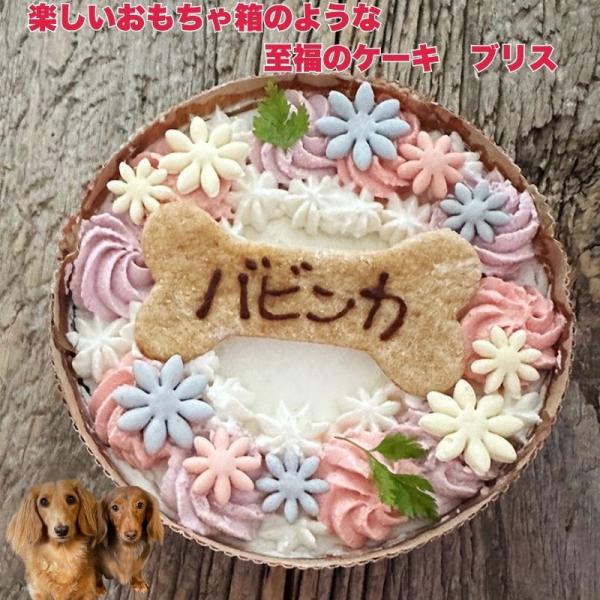 希様確認用ワンホンブーケ名入り有 ふわふわスポンジのホールケーキ ブリス 至福のケーキ 骨型の