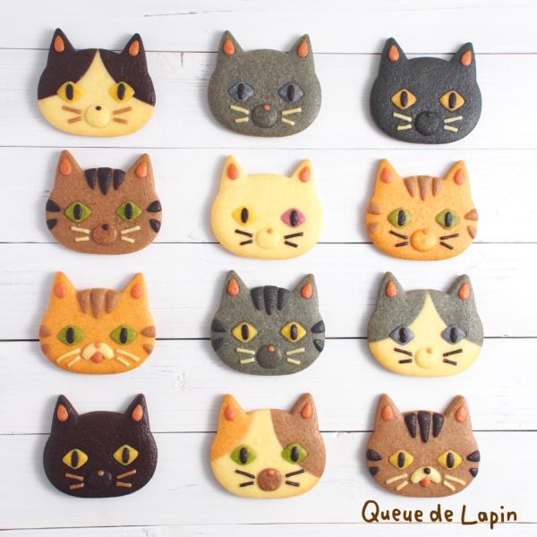 queue-de-lapin_designcookie-