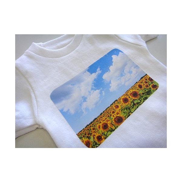 洗濯につよいアイロン転写シート A3サイズ 3枚入り Buyee Buyee Japanese Proxy Service Buy From Japan Bot Online