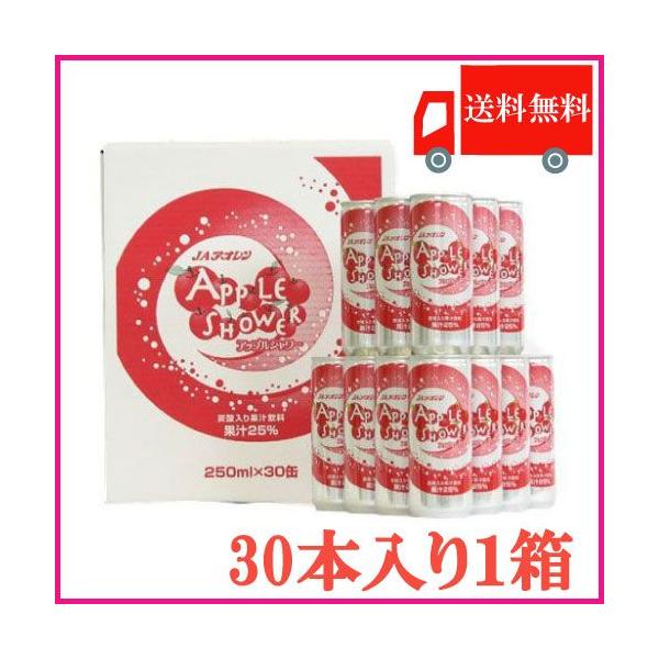 X񂲃W[X Y_ AI AbvV[ 250ml×30 