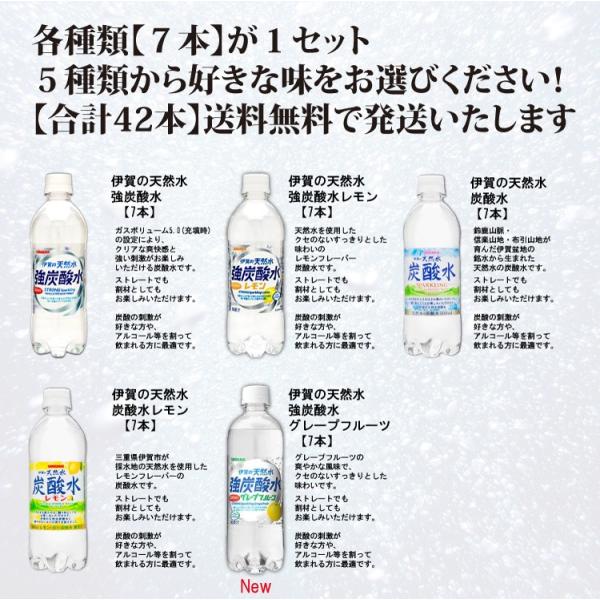 サンガリア 伊賀の天然水 炭酸水 選べる5種類 500ml 42本 送料無料 Pet ペットボトル スパークリング Buyee Buyee Japanese Proxy Service Buy From Japan Bot Online