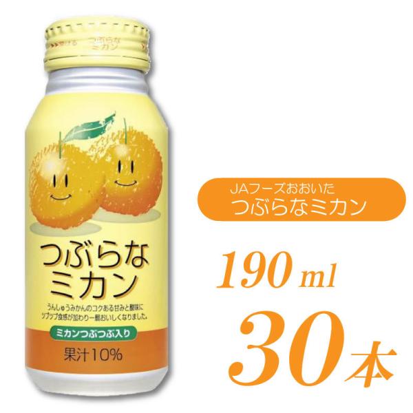 JAt[Y Ԃȃ~J 190ml 30{