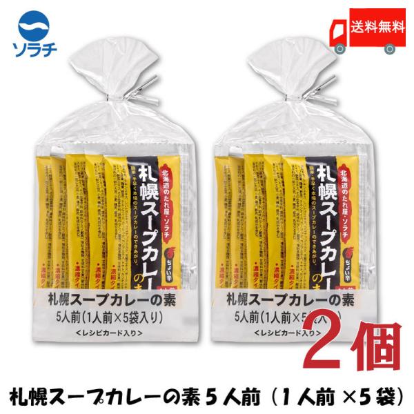 スープカレー レトルト ソラチ 札幌スープカレーの素 25g×5袋入 2個セット 送料無料