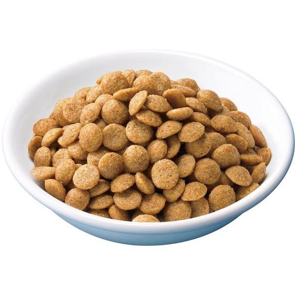 まとめ ペディグリー それいけ 小型犬 体重管理用 チキン入り 1kg 12セット ペット用品 犬用フード Www Mohmmadiyon Com