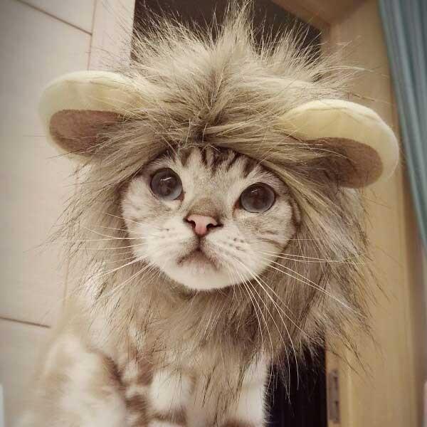 CÎԂ CIɂȂIHObY  lR 킢 