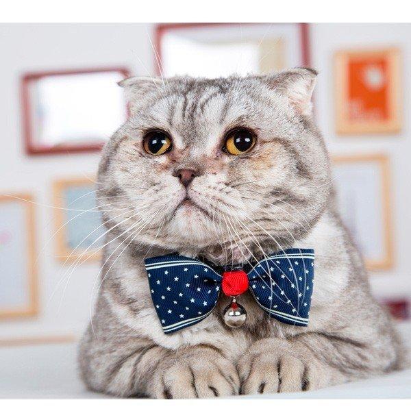 lN^C  ANZT[  lR p 킢   t іh~ |Cg