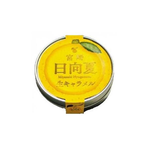 響 宮崎日向夏生キャラメル 12粒×60個 : QUOLI - 通販 - Yahoo