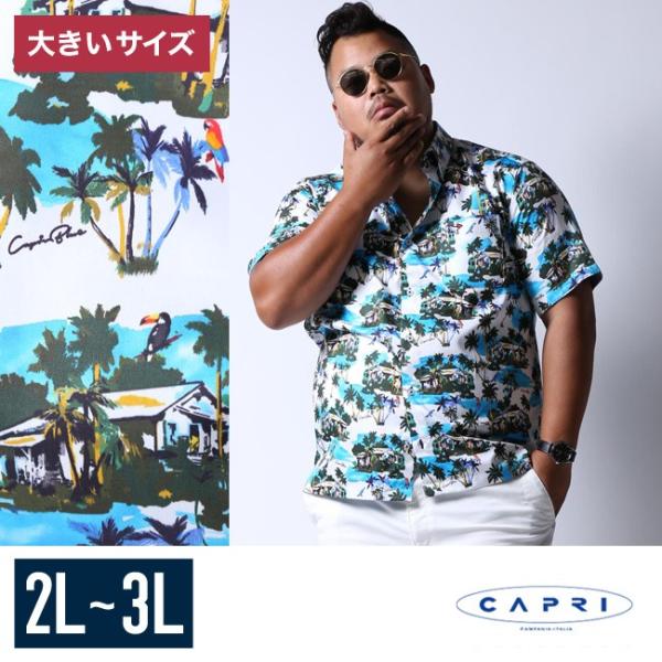 大きいサイズ 半袖シャツ カジュアルシャツ メンズ ボタンダウン Capri カプリ 南国柄 2l 50 3l 52 カジュアル 青 春 夏 秋 Www Specialistdetailing Com