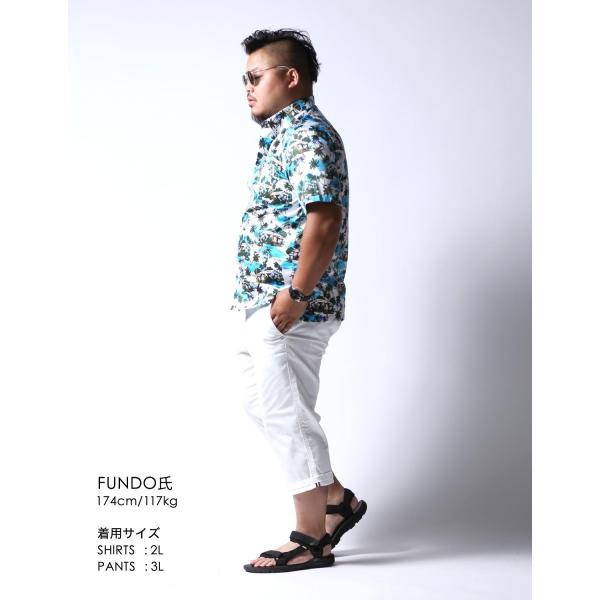 大きいサイズ 半袖シャツ カジュアルシャツ メンズ ボタンダウン Capri カプリ 南国柄 2l 50 3l 52 カジュアル 青 春 夏 秋 Www Specialistdetailing Com