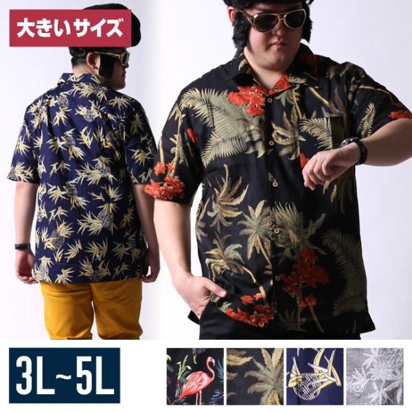 qzilla_ss009