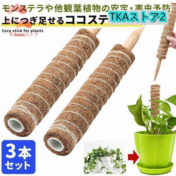 ■商品名■ココスティック 3本セット■商品説明■天然ココナッツ繊維を使用した園芸用支柱。見た目もお洒落なので景観を損なわず・観葉植物などにも最適。風通しが良くなるため・病気や害虫の発生を防ぎます。植物の高さに合わせて継ぎ足せる構造で大変便利...