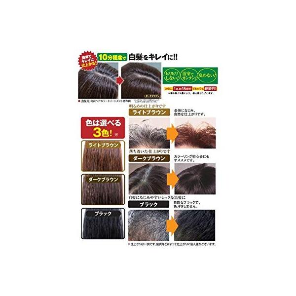 白髪染め利尻昆布ヘアカラートリートメント白髪染め 0ｇ 3本 ライトブラウン R Ainet