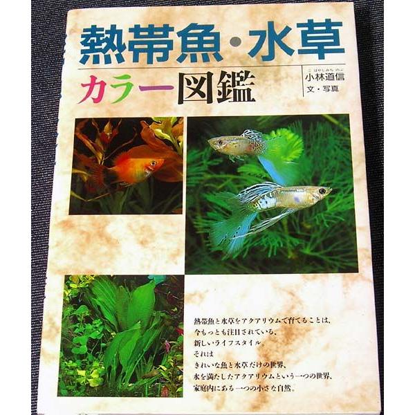 熱帯魚 水草 カラー図鑑 4151 アールブックス ヤフー店 通販 Yahoo ショッピング