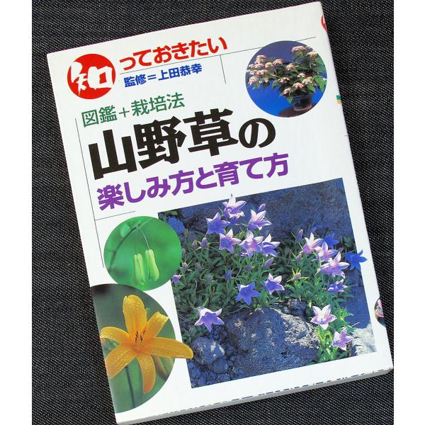 知っておきたい 山野草の楽しみ方と育て方 図鑑 栽培法 5034 アールブックス ヤフー店 通販 Yahoo ショッピング