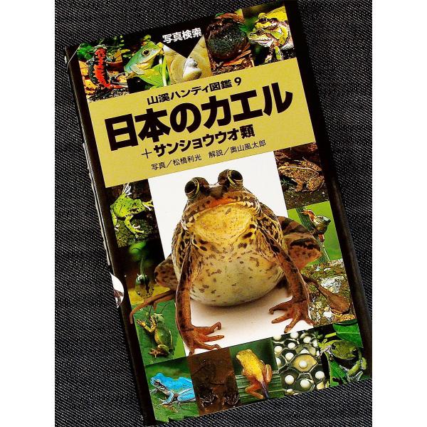 日本カエル図鑑　中古 日本のカエル ＋ サンショウウオ類 ─山渓ハンディ図鑑 : アール