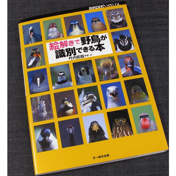 ◇単行本/B5判/183頁/2592円(税込)◇叶内拓哉（著）/文一総合出版（刊）/2006年3月初版（発行）バードウォッチングを始めたら、自分が見た鳥の名前を知りたいと思うもの。識別をしようという努力は数々の図鑑やテキストを生み出してきま...